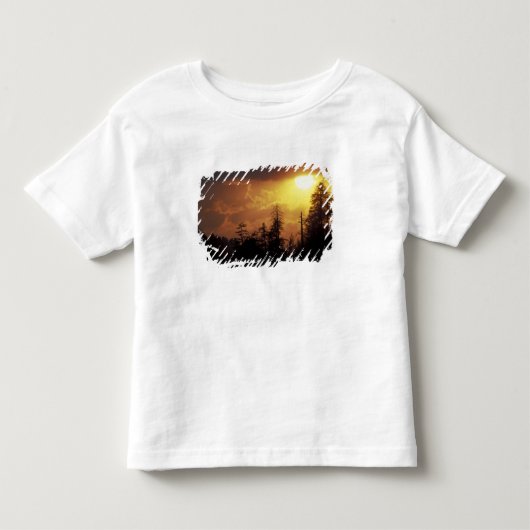 アメリカ合衆国 テネシー州 グレート・スモーキー山脈国立公園 2 トドラーTシャツ (正面)
