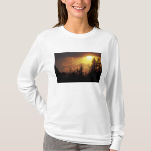 アメリカ合衆国 テネシー州 グレート・スモーキー山脈国立公園 2 Tシャツ