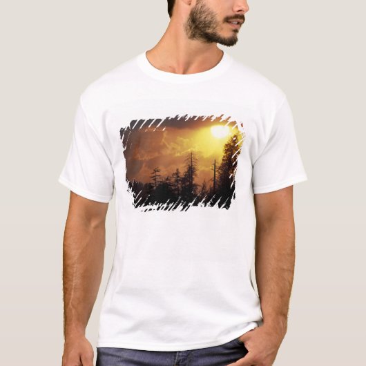 アメリカ合衆国 テネシー州 グレート・スモーキー山脈国立公園 2 Tシャツ (正面)