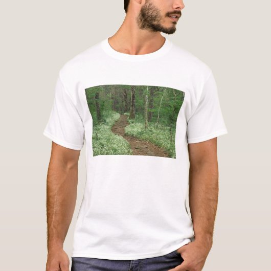 アメリカ合衆国,テネシー州,グレート・スモーキー山脈国立公園,3 Tシャツ (正面)