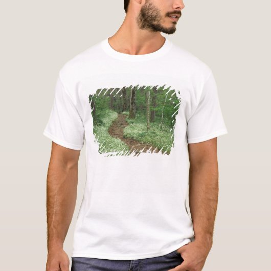 アメリカ合衆国, テネシー州, グレート・スモーキー山脈国立公園, 3 Tシャツ (正面)