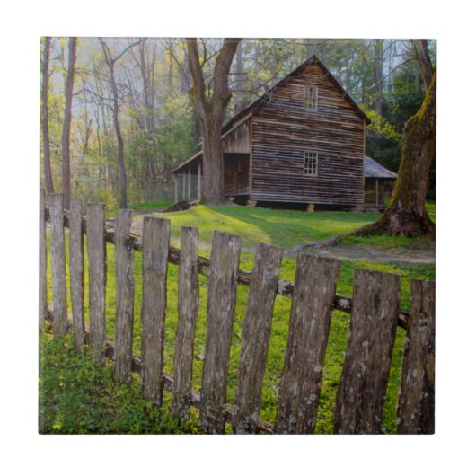 アメリカ合衆国, テネシー州, ケイデスの小屋 タイル (正面)