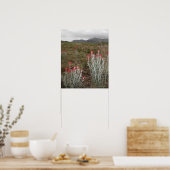 アメリカ合衆国，デルリオ，砂漠の植物のクローズアップ，テキサス州 ポスター (キッチン)