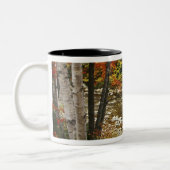 アメリカ合衆国,ニューハンプシャー,ホワイトマウンテンズ, ツートーンマグカップ (左)