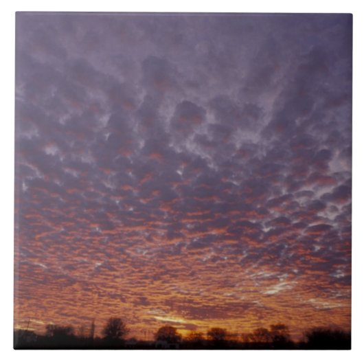 アメリカ合衆国，ニューメキシコ，ラスクルーセスの近くに タイル (正面)