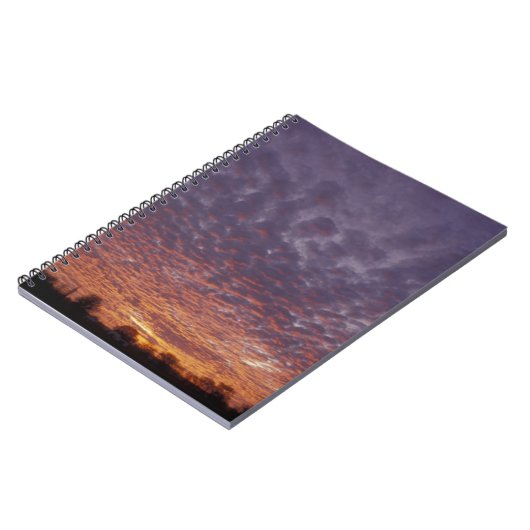 アメリカ合衆国,ニューメキシコ,ラスクルーセスの近くに ノートブック (左側)