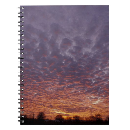 アメリカ合衆国,ニューメキシコ,ラスクルーセスの近くに ノートブック (正面)