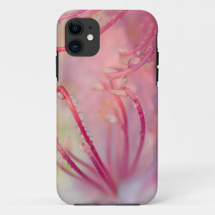 アメリカ合衆国、ノースカロライナ州。カタウバ・シャクナゲと iPhone 11 ケース