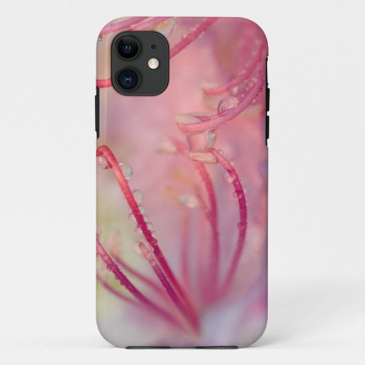 アメリカ合衆国、ノースカロライナ州。カタウバ・シャクナゲと Case-Mate iPhoneケース (裏面)
