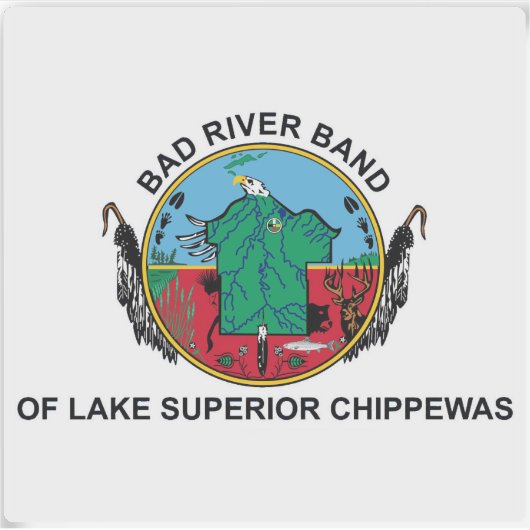 アメリカ合衆国，バートリバーバンド国旗 シール (正面)