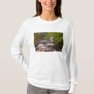 アメリカ合衆国, バーモント州, イーストアーリントン, 流れる小川 Tシャツ