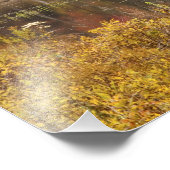 アメリカ合衆国，バーモント州，湖と秋の風景2 フォトプリント            (角)