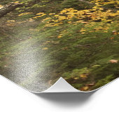 アメリカ合衆国，バーモント州，秋の風景 フォトプリント            (角)