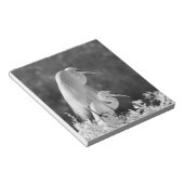 アメリカ合衆国、フロリダ州、ダイサギ(Ardea alba)赤外線 ノートパッド (アングル)