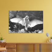 アメリカ合衆国、フロリダ州、ダイサギ(Ardea alba)赤外線 2 キャンバスプリント (インサイチュ (リビング))
