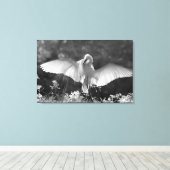 アメリカ合衆国、フロリダ州、ダイサギ(Ardea alba)赤外線 2 キャンバスプリント (インサイチュ (ウッドフロア))