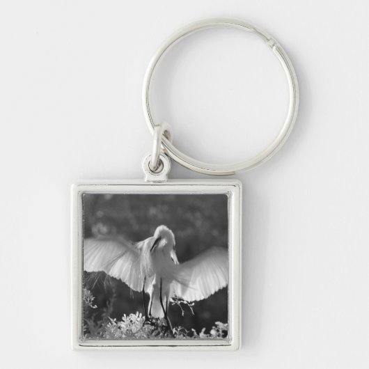 アメリカ合衆国、フロリダ州、ダイサギ（Ardea alba）赤外線 2 キーホルダー (正面)