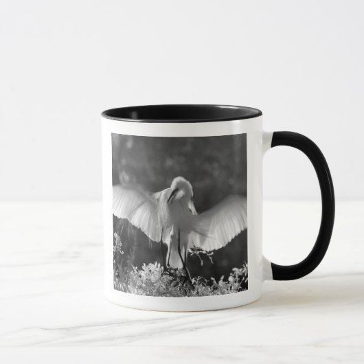 アメリカ合衆国、フロリダ州、ダイサギ（Ardea alba）赤外線 2 マグカップ (右)