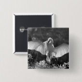アメリカ合衆国、フロリダ州、ダイサギ（Ardea alba）赤外線 2 缶バッジ (正面&裏面)