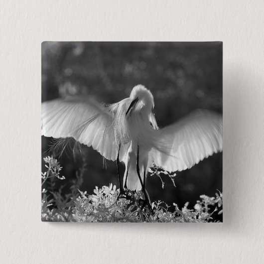 アメリカ合衆国、フロリダ州、ダイサギ（Ardea alba）赤外線 2 缶バッジ (正面)