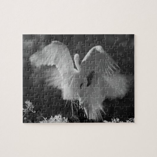 アメリカ合衆国, フロリダ州, ダイサギ(Ardea alba)赤外線 3 ジグソーパズル (横)