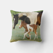 アメリカ合衆国, フロリダ州, 新生児 Paint filly クッション (裏面)