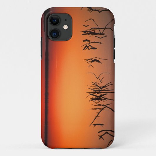 アメリカ合衆国 フロリダ州。枯れた木の枝のシルエット Case-Mate iPhoneケース (裏面)
