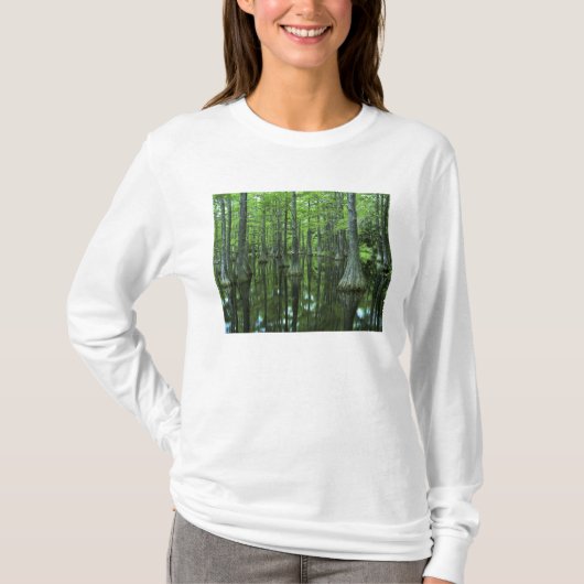 アメリカ合衆国 フロリダ アパラチコーラ国有林 禿頭 Tシャツ (正面)