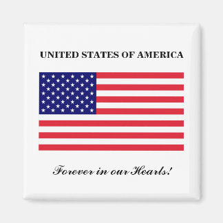 アメリカ合衆国_マグネット マグネット