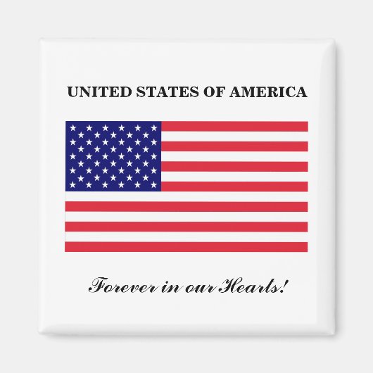 アメリカ合衆国_マグネット マグネット (正面)