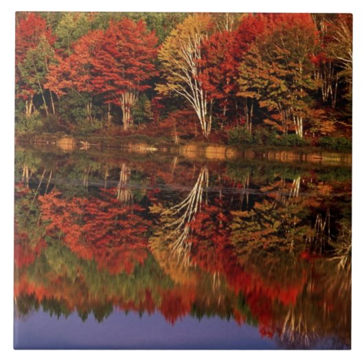 アメリカ合衆国 ミシガン州 アッパー半島 紅葉 タイル (正面)