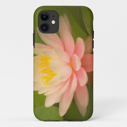 アメリカ合衆国 メリーランド州 ウェストミンスター ユニオン Case-Mate iPhoneケース (裏面)