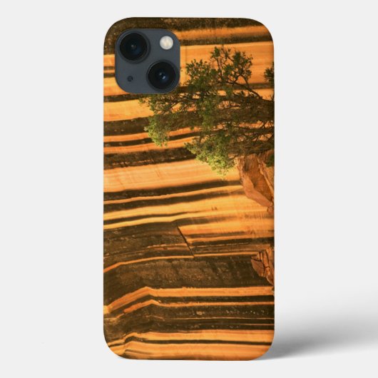 アメリカ合衆国 ユタ州 キャピトル・リーフ国立公園 Case-Mate iPhoneケース (裏面)