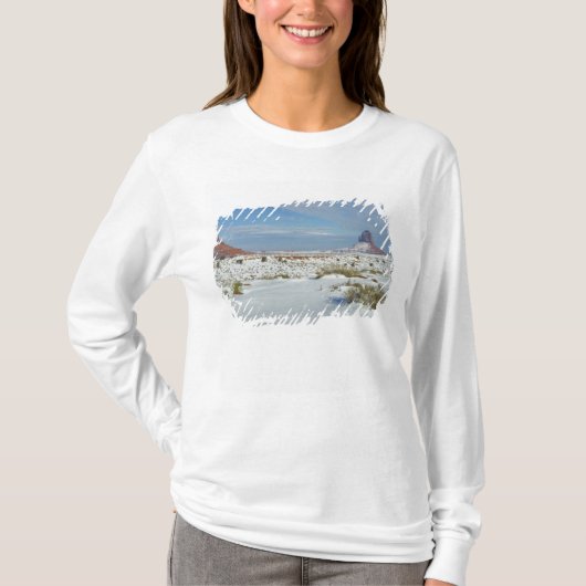アメリカ合衆国 ユタ州 モニュメントバレー。ヨモギの茂み Tシャツ (正面)