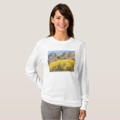 アメリカ合衆国 ユタ州 ワサッチキャッシュ国有林 Tシャツ (正面フル)