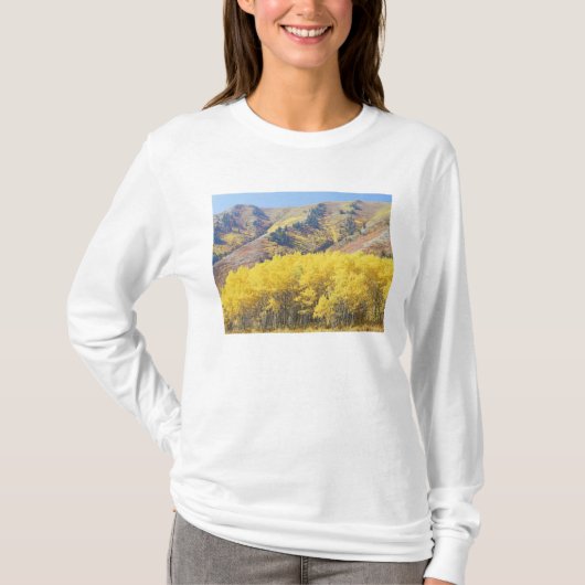 アメリカ合衆国 ユタ州 ワサッチキャッシュ国有林 Tシャツ (正面)