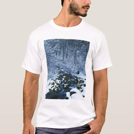アメリカ合衆国, ユタ州, ワサッチ・キャッシュ国有林, Tシャツ (正面)