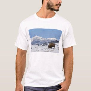 アメリカ合衆国 ワイオミング州 イエローストーン国立公園 アメリカバイソン ビスン Tシャツ