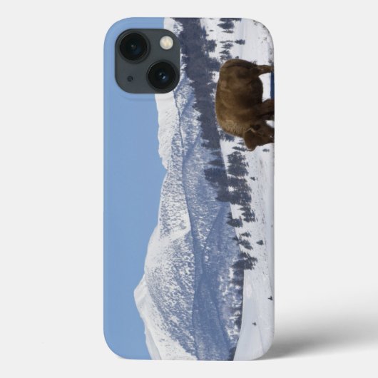 アメリカ合衆国 ワイオミング州 イエローストーン国立公園 アメリカバイソン Case-Mate iPhoneケース (裏面)