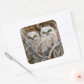 アメリカ合衆国，ワイオミング州，グランドテトン国立公園 スクエアシール (封筒)