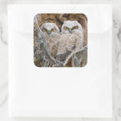 アメリカ合衆国，ワイオミング州，グランドテトン国立公園 スクエアシール (バッグ)