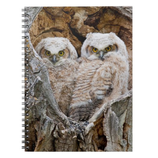 アメリカ合衆国,ワイオミング州,グランドテトン国立公園 ノートブック (正面)