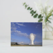 アメリカ合衆国、ワイオミング。イエローストーン国立公園古い ポストカード (スタンド正面)