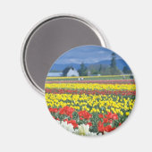 アメリカ合衆国，ワシントン州山レイニエ，レッドスカギットバレー マグネット (正面/裏面)