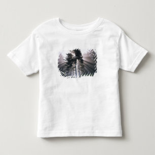 アメリカ合衆国, ワシントン州, オリンピック国立公園, 朝の景色 トドラーTシャツ