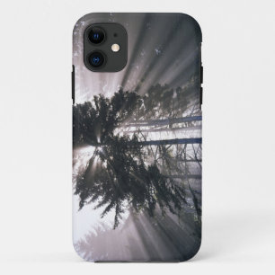 アメリカ合衆国, ワシントン州, オリンピック国立公園, 朝 iPhone 11 ケース