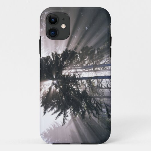 アメリカ合衆国, ワシントン州, オリンピック国立公園, 朝 Case-Mate iPhoneケース (裏面)