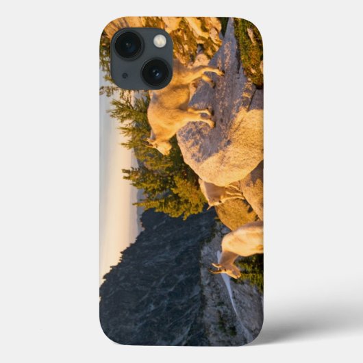 アメリカ合衆国, ワシントン州, カスケード山脈 4 Case-Mate iPhoneケース (裏面)