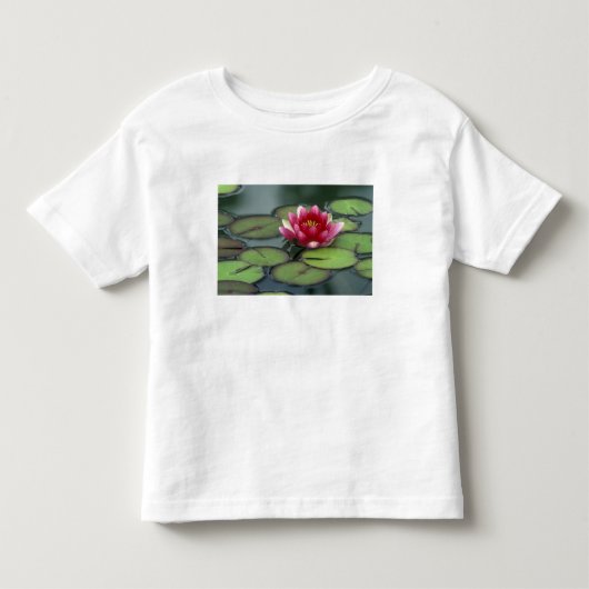 アメリカ合衆国、ワシントン州、シアトル。水蓮と トドラーTシャツ (正面)