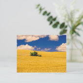 アメリカ合衆国,ワシントン州,パルーズ地方, ポストカード (スタンド正面)